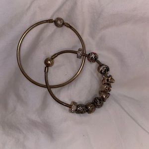 Pandora Charms & Bracelet Set